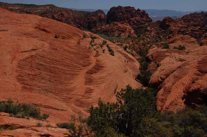 Petrified Dunes